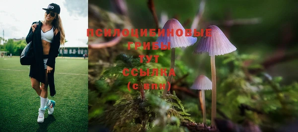 твердый Пролетарск