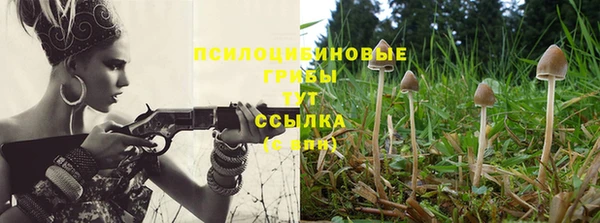 каннабис Приозерск