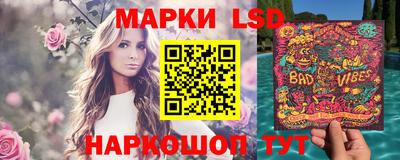 тгк Владимир