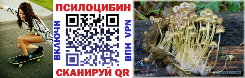 цена Великий Новгород гидра вход площадка формула Псилоцибиновые грибы MAGIC MUSHROOMS