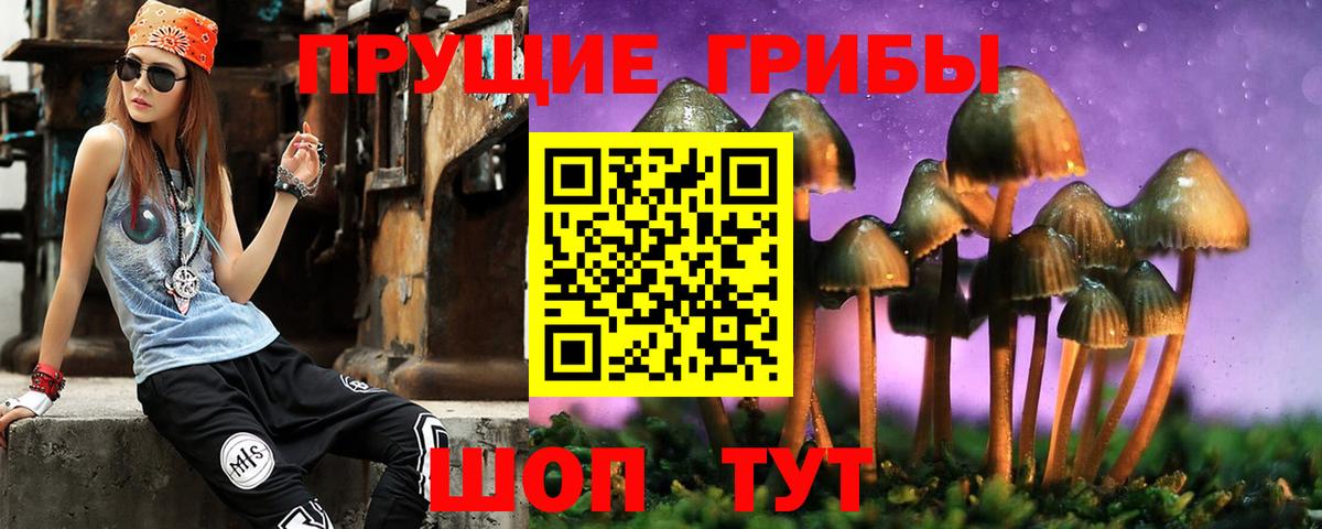 Великий Новгород  Псилоцибиновые грибы Cubensis  Вход с VPN 