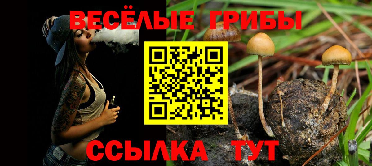 Псилоцибиновые грибы мицелий Великий Новгород