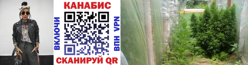 blacksprut сайт  Великий Новгород  Бошки Шишки марихуана 