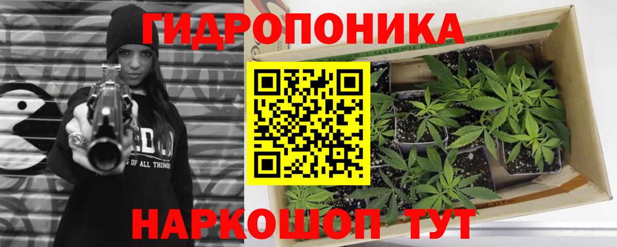 МАРИХУАНА LSD WEED  Каннабис VHQ  Конопля сатива  Вход с VPN  Великий Новгород 